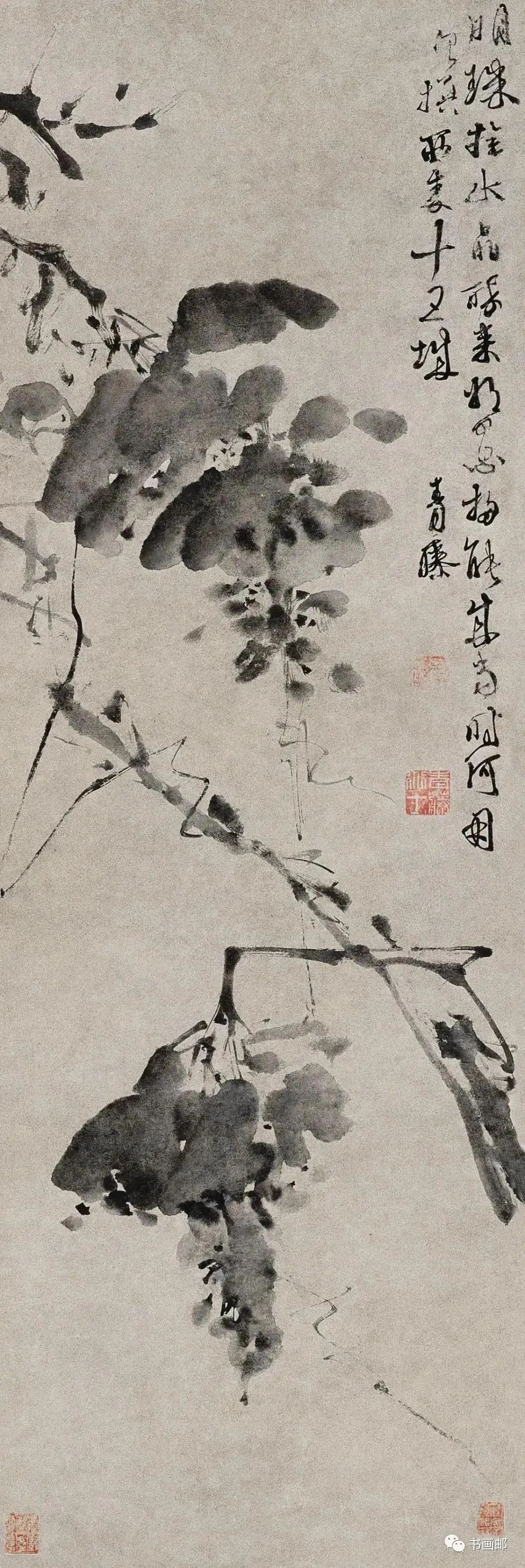 徐渭墨葡萄書畫作品欣賞！
