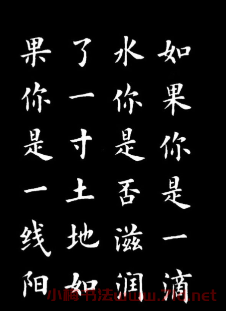 盧中南楷書《歐體簡化字雷鋒名言字帖》