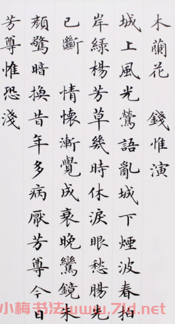 盧中南小楷力作《抄寫宋詞四首》
