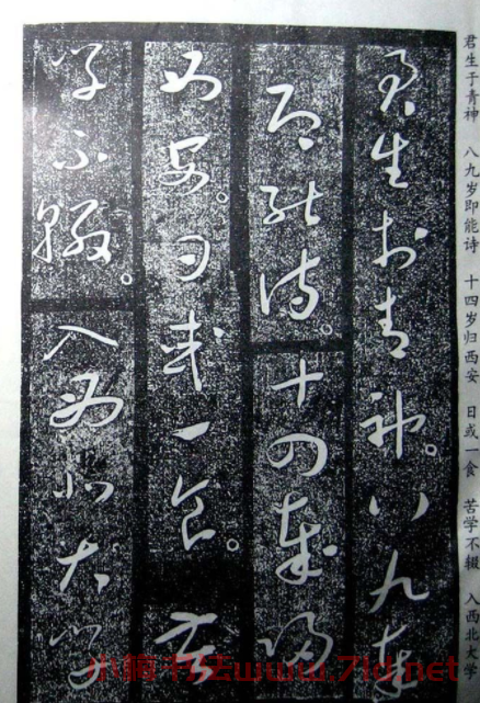 于右任草書欣賞王陸一墓志銘