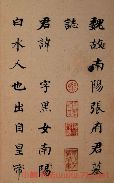 晚清書畫家何紹基臨《張黑女墓志》