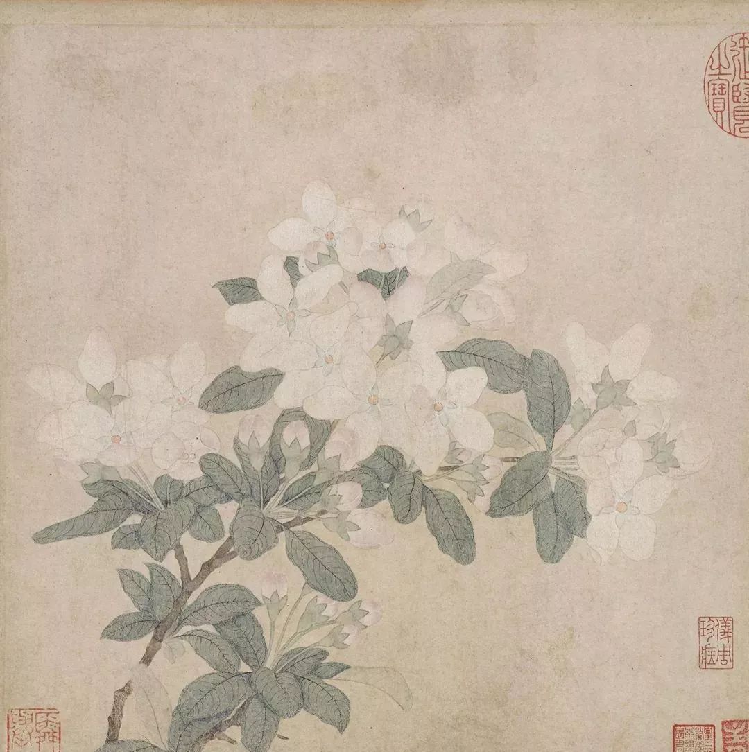 趙孟頫書法題跋《來禽梔子花》
