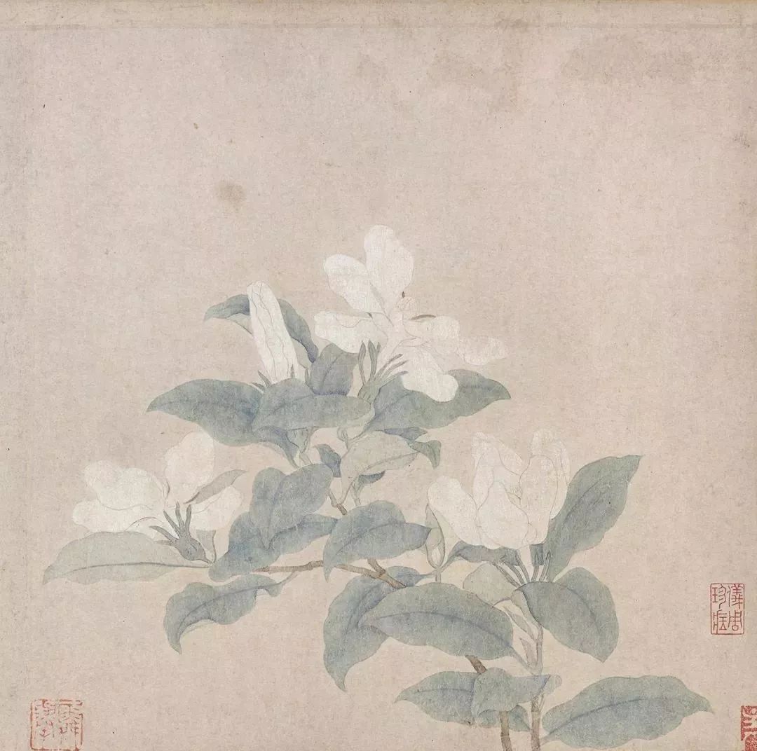 趙孟頫書法題跋《來禽梔子花》