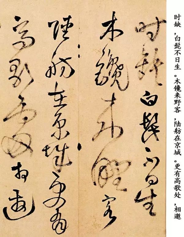 王鐸草書欣賞《題野鶴陸舫齋》