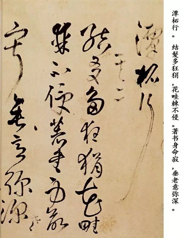 王鐸草書欣賞《題野鶴陸舫齋》