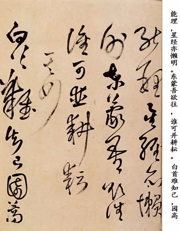王鐸草書欣賞《題野鶴陸舫齋》