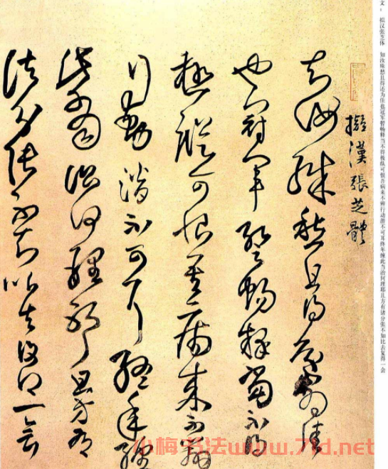 王鐸草書欣賞擬漢張芝書法冊(cè)頁(yè)