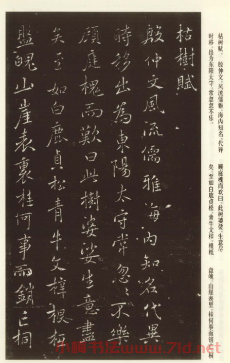 褚遂良書法欣賞《枯樹賦》(大圖)