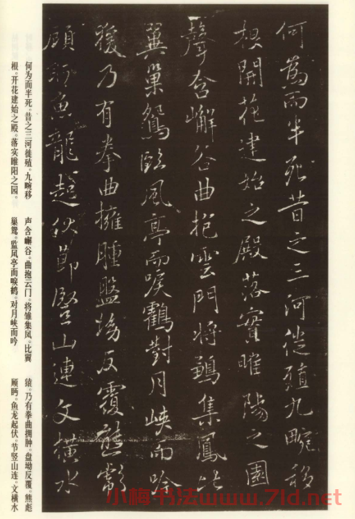 褚遂良書法欣賞《枯樹賦》(大圖)