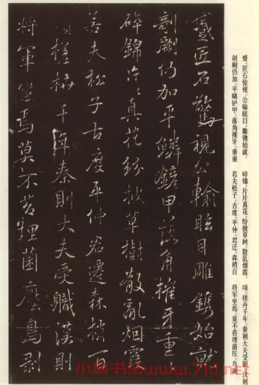 褚遂良書法欣賞《枯樹賦》(大圖)