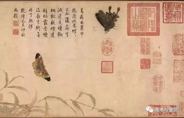 北宋宮廷畫家趙昌繪畫賞析《寫生蛺蝶圖卷》