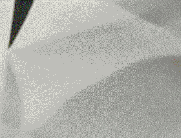 虎字書法