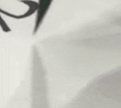 虎字書法
