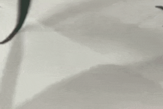 虎字書法