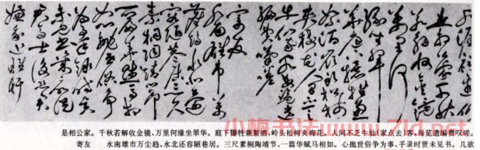 祝允明草書詩卷《秋夜宿僧院》