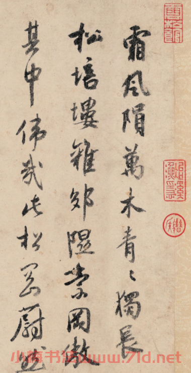 祝允明行書詩帖《霜風隕萬木》
