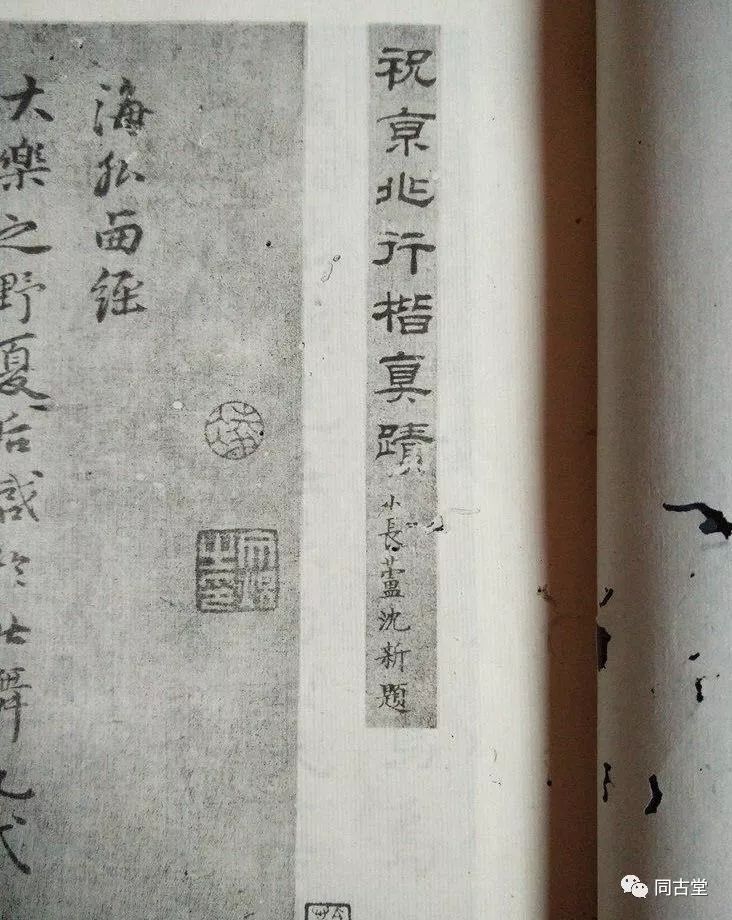 為何將《海外西經》卷定為祝枝山筆墨奇品?