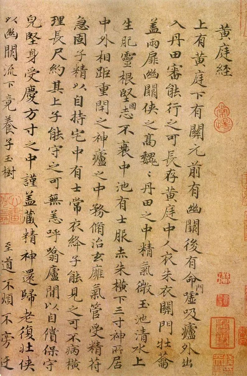 趙孟頫《小楷臨黃庭經》墨跡本