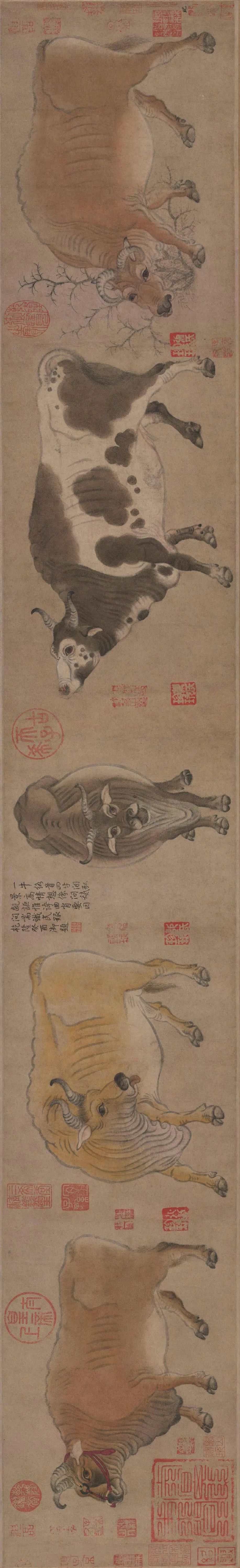 趙孟頫行書三跋《韓滉五牛圖卷》 趙孟頫行書三跋《韓滉五牛圖卷》