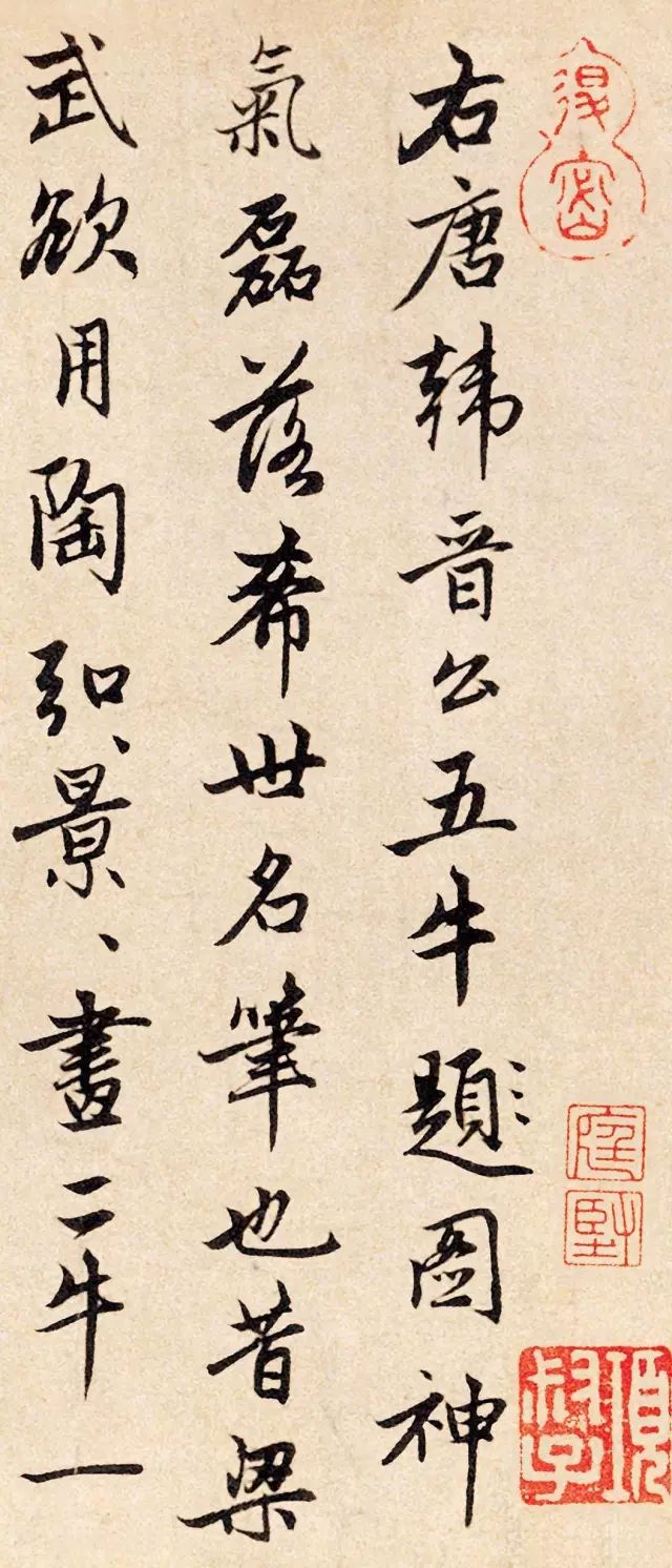 趙孟頫行書三跋《韓滉五牛圖卷》
