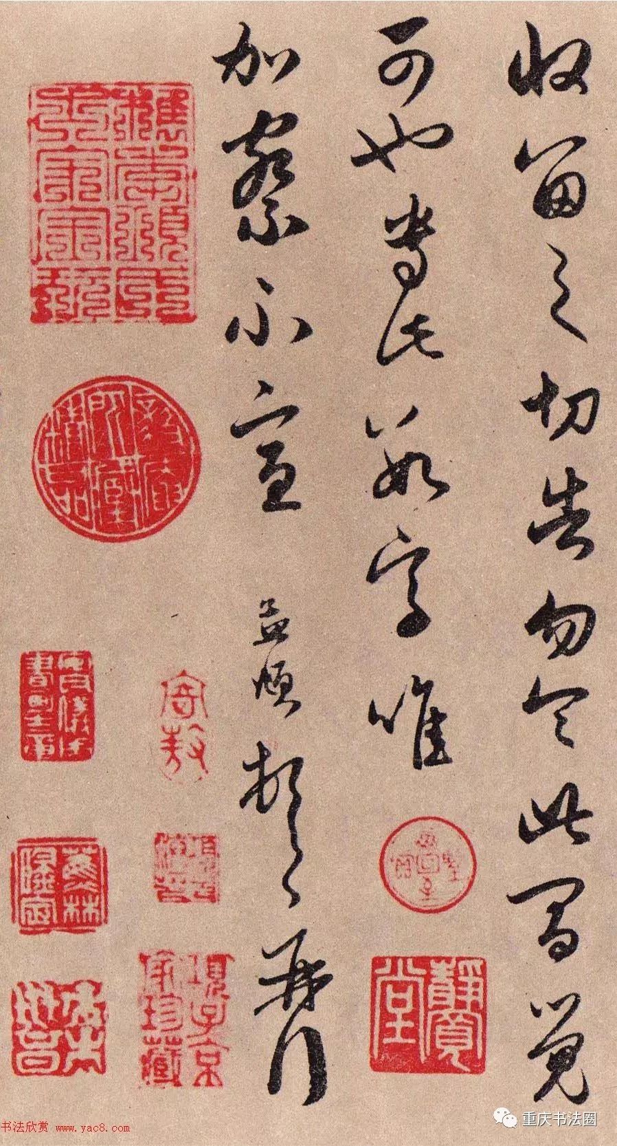 書法經典之趙孟頫草書《靜心帖》(經率帖)