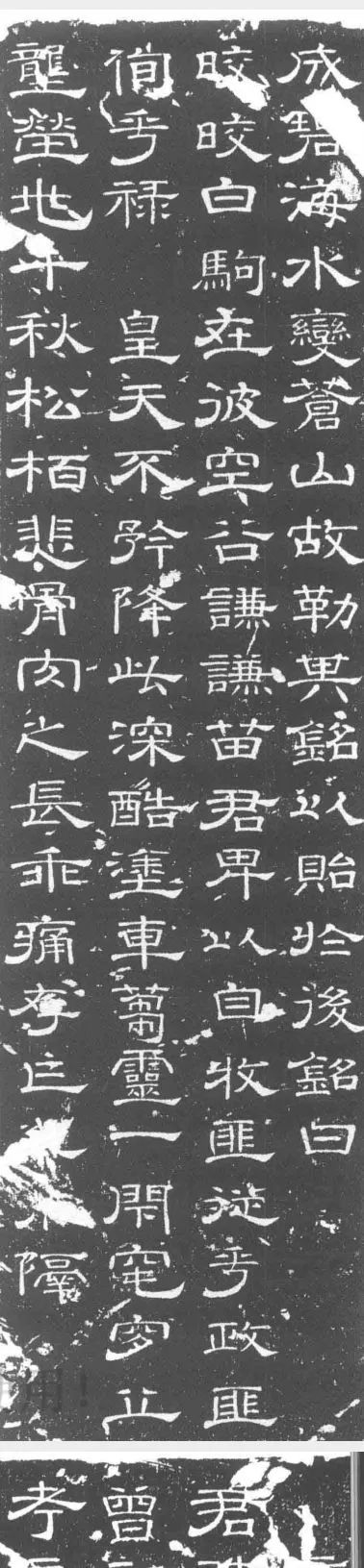 唐代隸書《苗挺墓志》