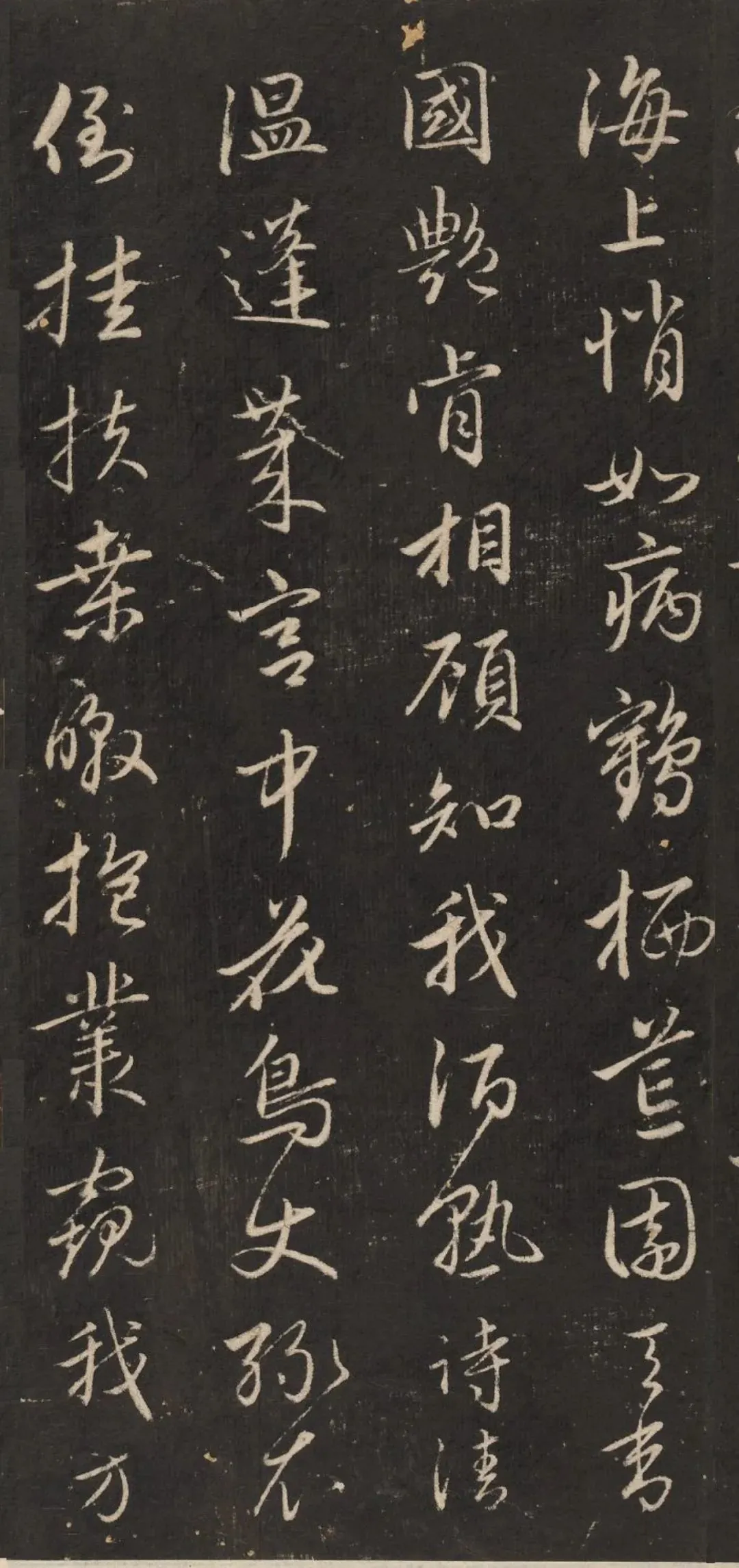 趙孟頫行書《梅花詩》作品欣賞