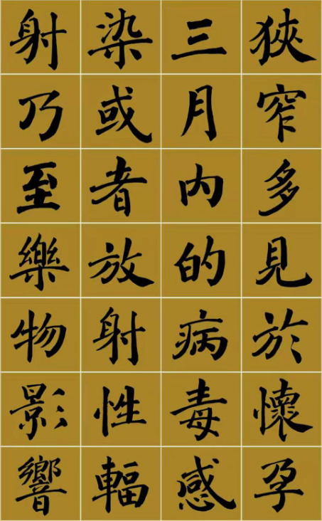 范笑歌楷書《中國少兒先心病基金宣講辭》