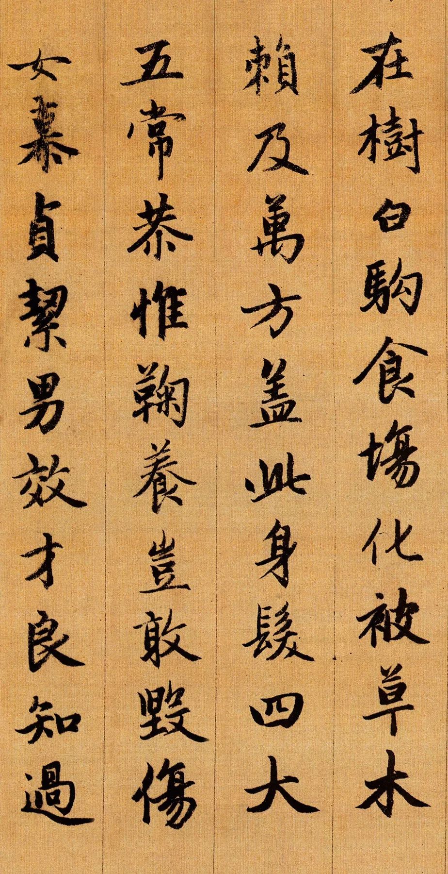  趙孟頫行書千字文作品欣賞