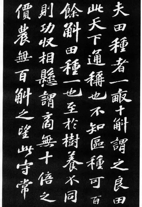 蘇軾最美小楷《養生論》拓本