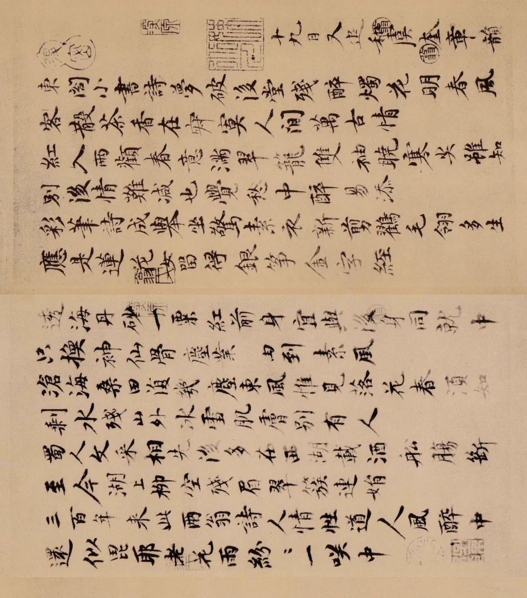 蘇軾行書欣賞《天際烏云帖》