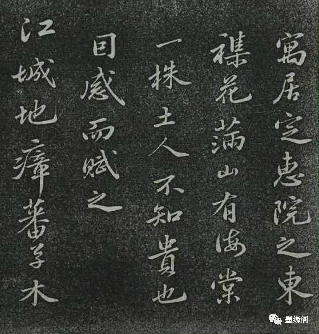 蘇東坡書法欣賞《定惠院海棠詩》