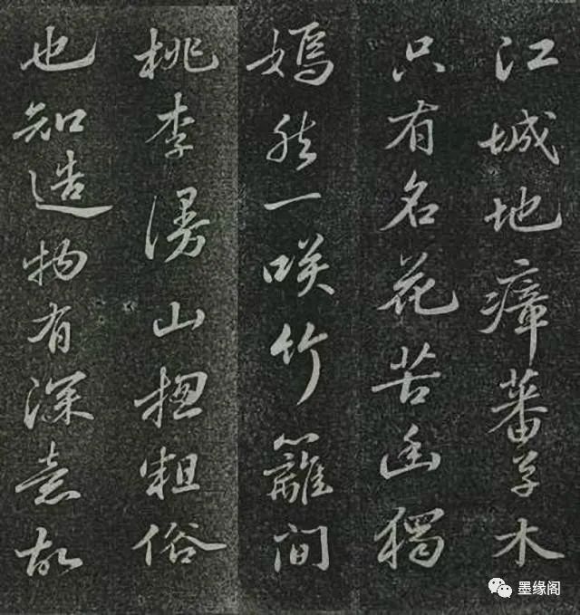 蘇東坡書(shū)法欣賞《定惠院海棠詩(shī)》