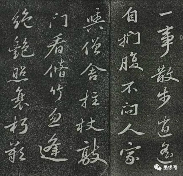 蘇東坡書(shū)法欣賞《定惠院海棠詩(shī)》