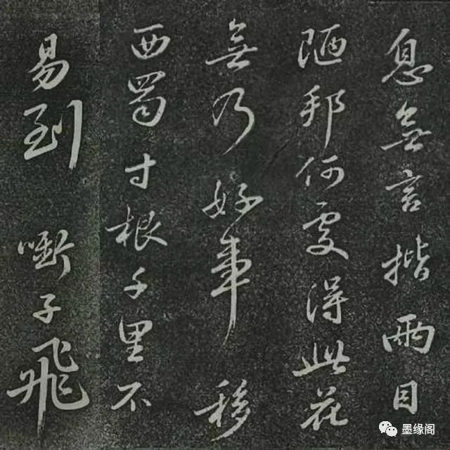 蘇東坡書(shū)法欣賞《定惠院海棠詩(shī)》