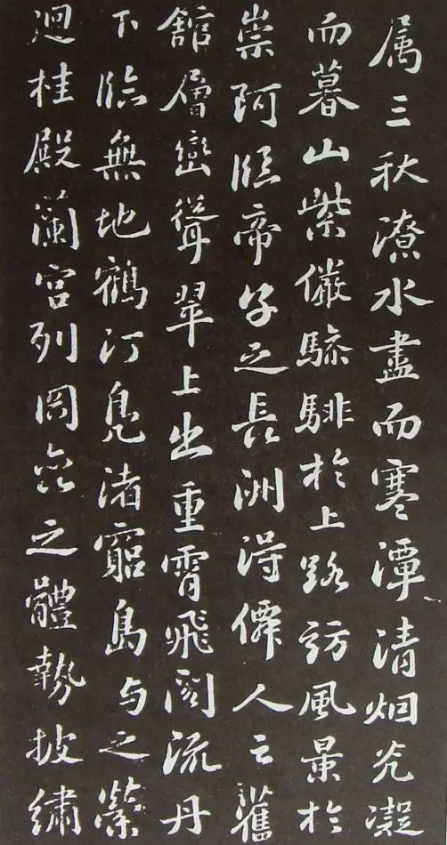 蘇軾小楷欣賞《滕王閣序》