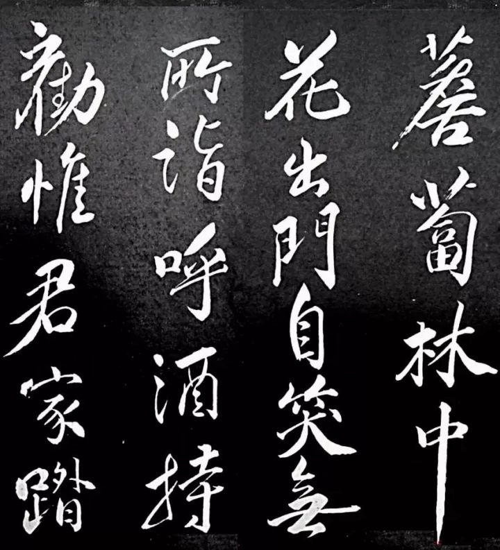 蘇軾行書書法欣賞《清虛堂詩》