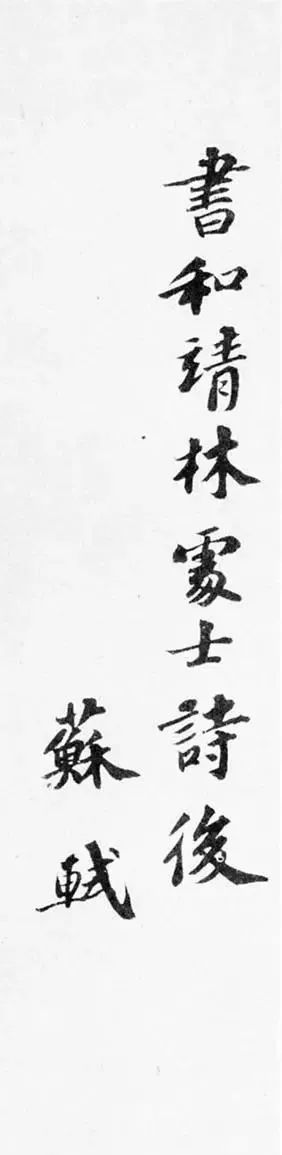 蘇軾行書《書林逋詩(shī)后》作品欣賞