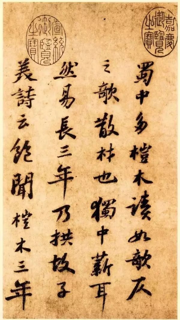 蘇軾行書墨跡賞析《杜甫榿木詩(shī)卷帖》