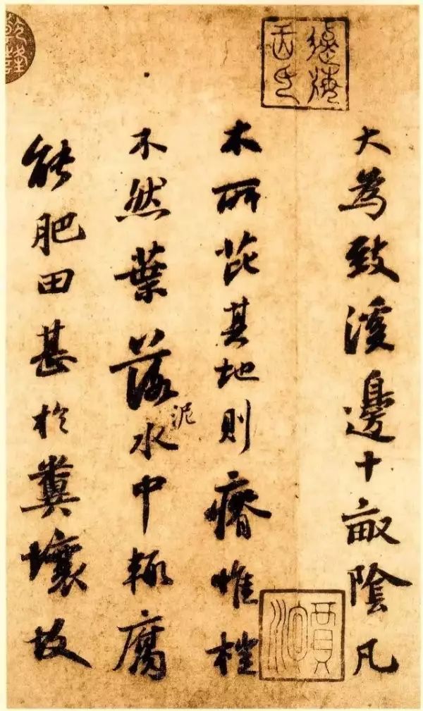 蘇軾行書墨跡賞析《杜甫榿木詩(shī)卷帖》