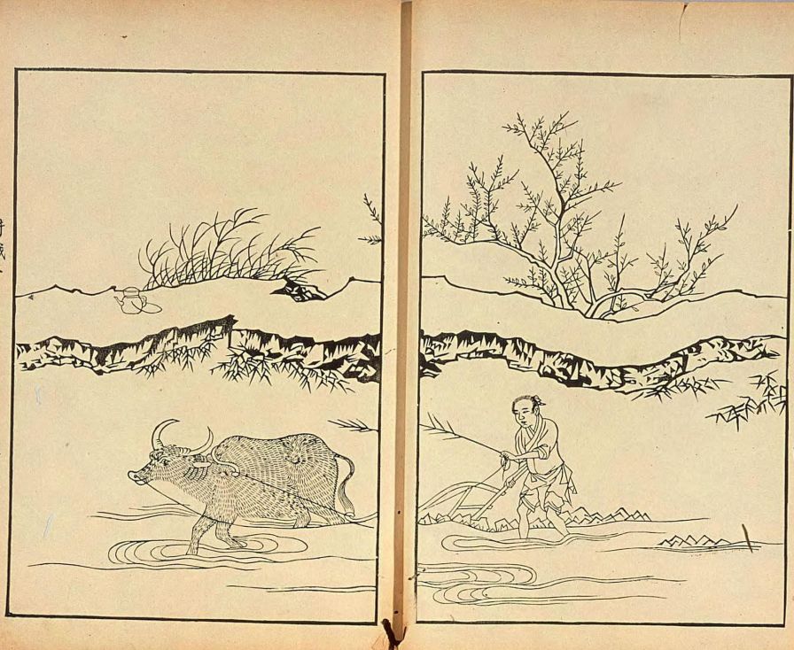 耕織圖的發展與演變