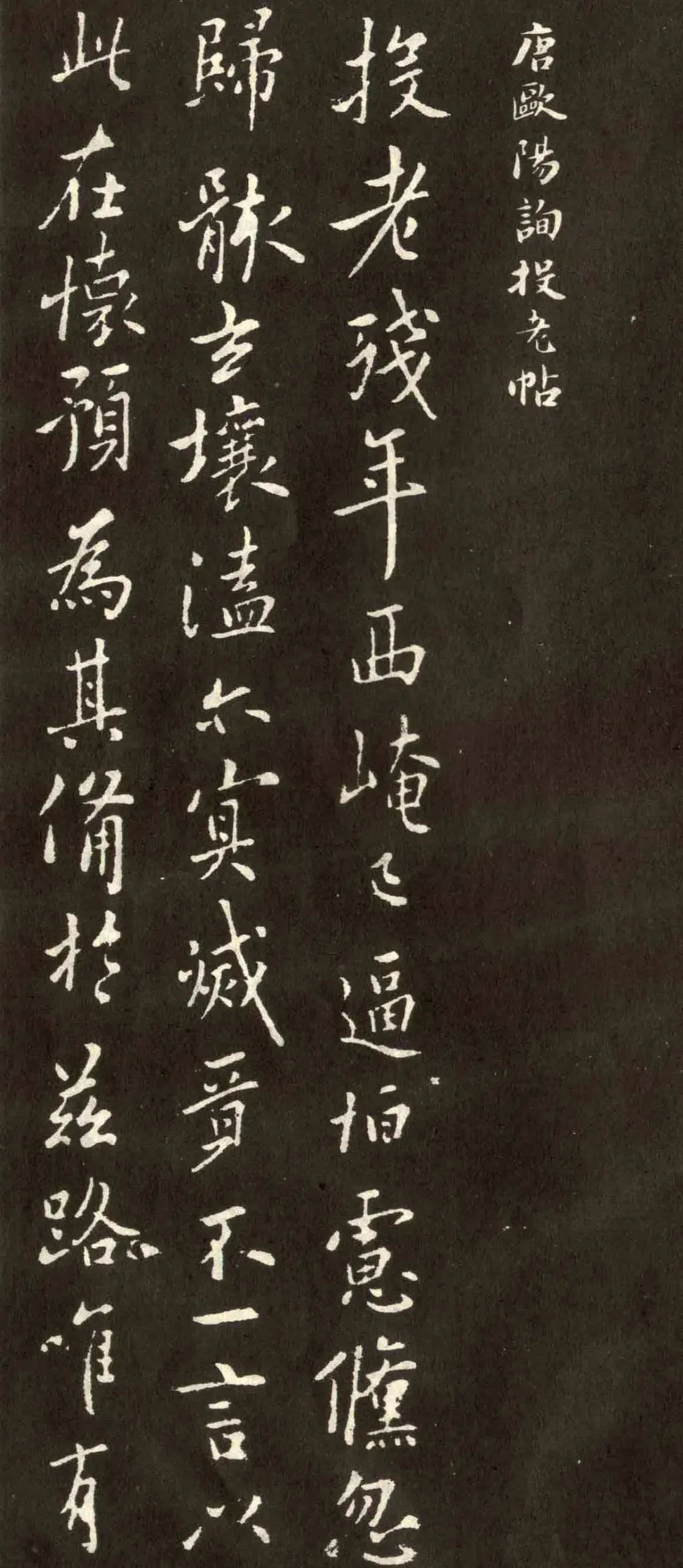 歐陽詢行書《投老帖》欣賞