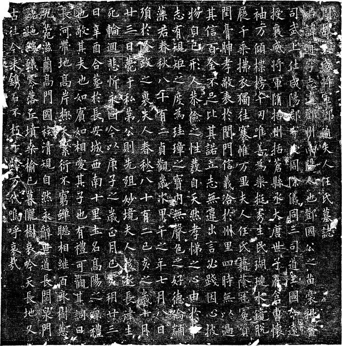 歐陽詢楷書碑刻《鄧通夫人任氏墓志》作品欣賞