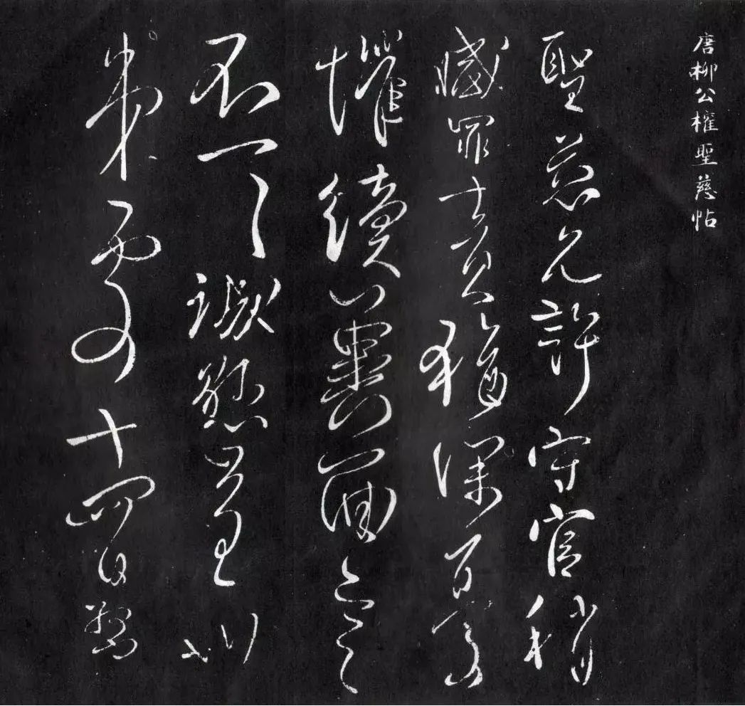 柳公權(quán)《圣慈帖》草書(shū)欣賞 柳公權(quán)《圣慈帖》草書(shū)欣賞