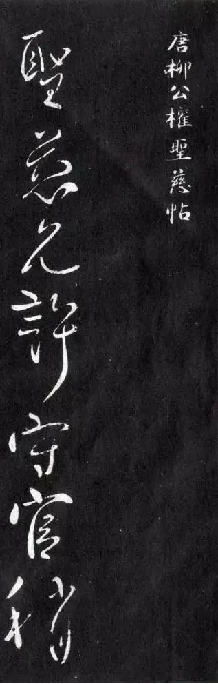 柳公權(quán)《圣慈帖》草書(shū)欣賞