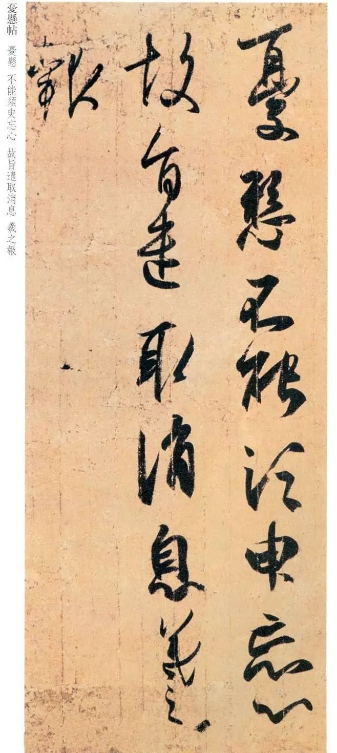 王羲之草書欣賞《憂懸帖》