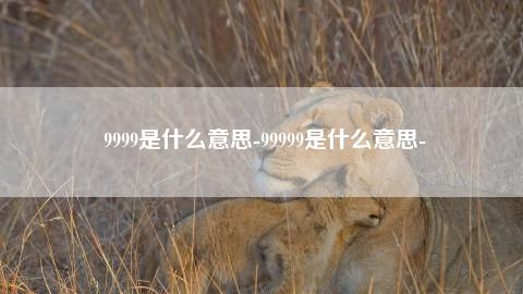 9999是什么意思