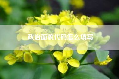 政治面貌代碼怎么填寫　政治面貌怎么填