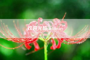 歡迎光臨javlibrary？現在最好的網站還是javlib吧？