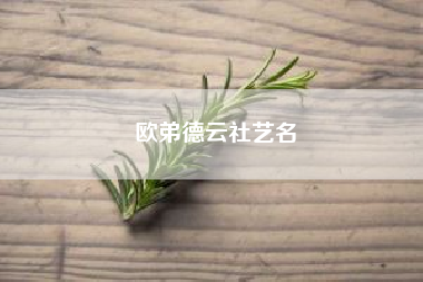 歐弟德云社藝名(歐弟的個人資料)